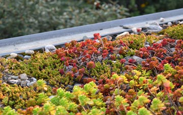 the cost of Kirkton Of Largo Or Upper Largo green roof installation