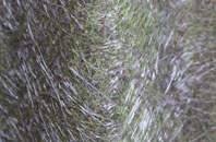 Kirkton Of Largo Or Upper Largo fibreglass roof work